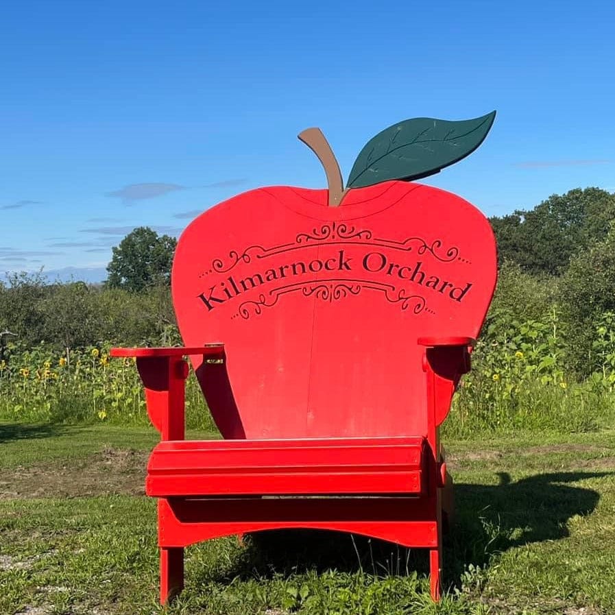 Customized Back Giant Adirondack Chair (Made - to - Order) - Ever Season Furniture