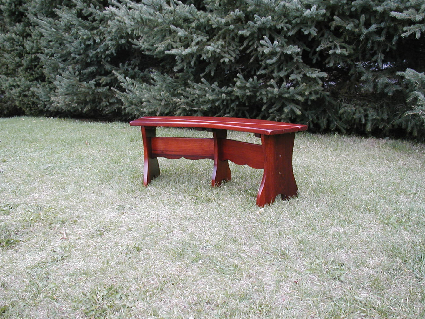 Curved Bench (Made - to - Order) - Ever Season Furniture