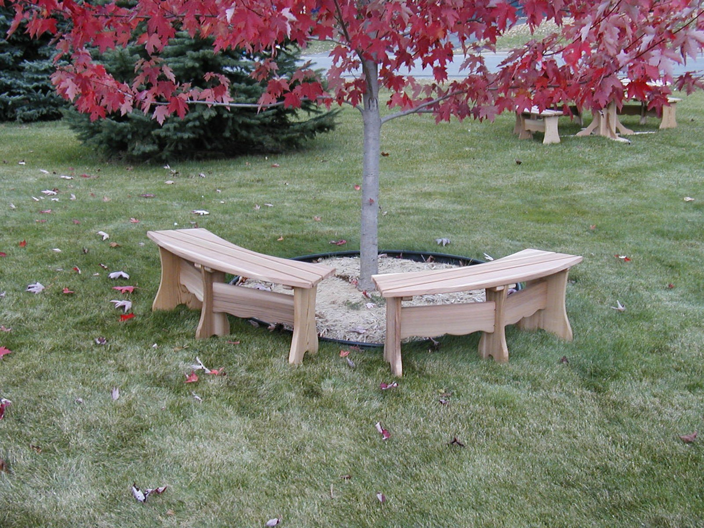 Curved Bench (Made - to - Order) - Ever Season Furniture