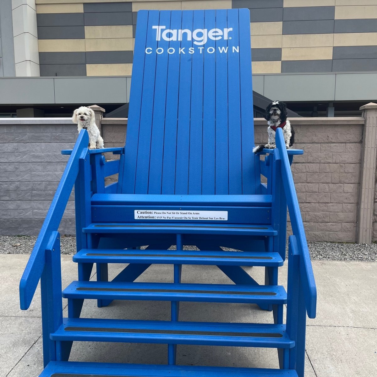 Flat Back Modern Giant Chair (Made - to - Order) - Ever Season Furniture