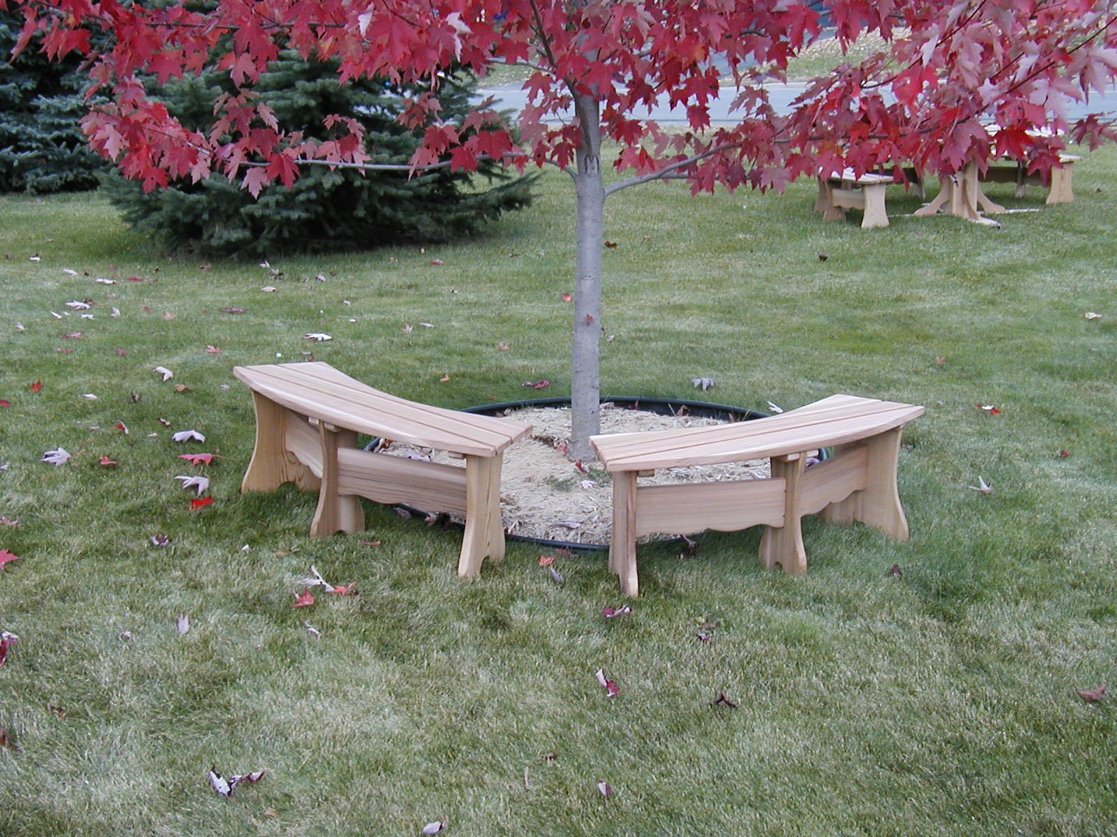 Curved Bench (Made - to - Order) - Ever Season Furniture